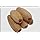 Natural Body Brush | Plant-Based Bristles | Eco-Friendly Exfoliating Brush for Dry Brushing & Bathing | Suitable for Men & Women | pack of 5