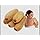 Natural Body Brush | Plant-Based Bristles | Eco-Friendly Exfoliating Brush for Dry Brushing & Bathing | Suitable for Men & Women | pack of 5
